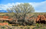 Landscape in Courthouse Wash at Arches National Park Moab Utah 770