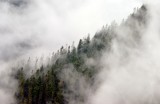 Fall in the Pacific Northwest Skykomish Washington 214