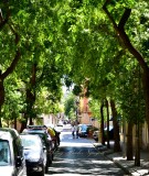 Beautiful Street in Barcelona Spain 048
