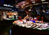 Fish Section in La Boqueria Barcelona 465