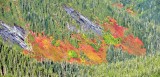 Fall foliage and colors near Three Fingers 072