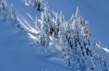Winter Wonderland in Cascade Mountains 988