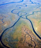 Apalachicola River wildlife and environmental area Apalachicola Florida 201a