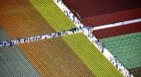 Tulip Fields at Roozegaarde Mount Vernon Washington 184