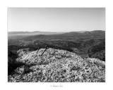 FP4125_066005.jpg