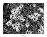 FP4125_068_014.jpg