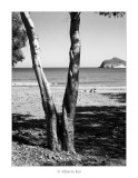 Playa de Los Genoveses · Parc Natural Cabo de Gata (Almería)