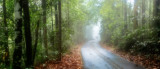 Bukit Timah/Dairy Farm Nature Reserve