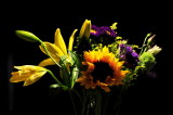 DSC_9737c.jpg