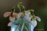 march_2018