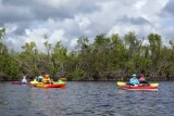 Kayaking in the Everglades