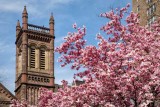 A Center City Walk on April 13, 2018