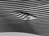Abstracts, Lines & Curves