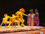 Festival of the Lion King