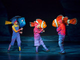 Finding Nemo