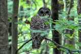 Eagle Creek Park 09-19-2017