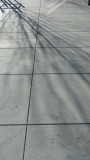 Shadows