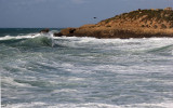 Habonim-Dor