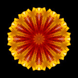Mandala-like creations