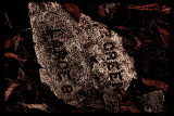 Stone