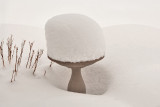 7978 Bird Bath