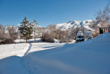 7988 Feb Snow