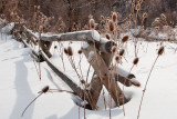 7996 Porcupine Reservoir