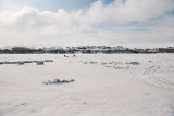 7997 Hyrum Reservoir