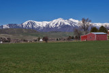 8189 Spring snow