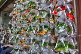 201302Hong_Kong0402s1.jpg