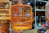 201302Hong_Kong0367s1.jpg