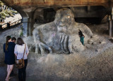 The Troll Under the Bridge