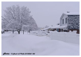 20130228 060 SERIES - Home 1r1.jpg