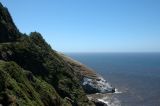 Oregon Coast