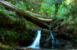 Waterfall at Moran State Park, Orcas Islands