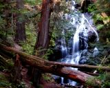 Waterfall at Moran State Park, Orcas Islands