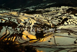 Sunrise, Duo Yishu