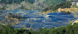 Terraced rice fields, AiChun village