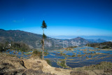 Terraced rice fields, AiChun village