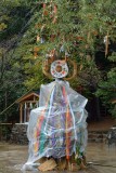 Sagicho Shinji at Ima-kumano Shrine 2013