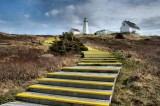_DSC5987 - The Yellow Wood Stairs