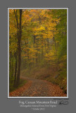 Fog Canaan Mountain Road 2.jpg