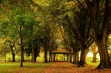 In the Park