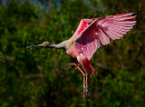 Final approach