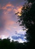 A Cloudy August Dawn