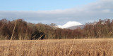 Ben Lomond from the Aber Bog, Loch Lomond NNR