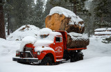Ed Cook Tree Service