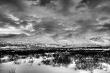 IMG_3689_t.jpg