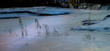 L1056791.jpg