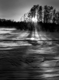 Finger Lake. IMG_3958.jpg